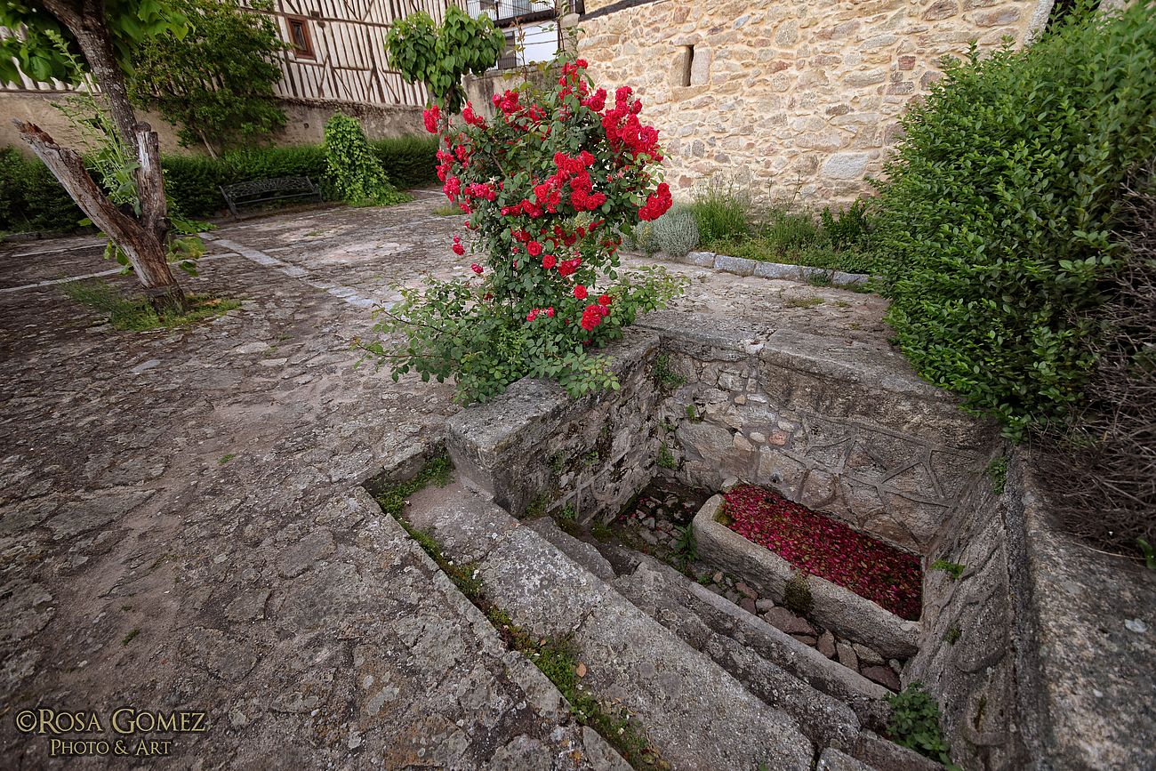 Mientras haya jardines