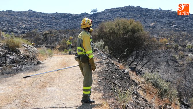 El objetivo de este convenio es crear empleo y prevenir incendios / CORRAL