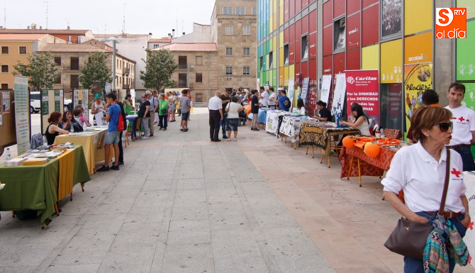 Encuentro ‘Salamanca nos movemos’ en la plaza de la Concordia / Foto de David Fernández