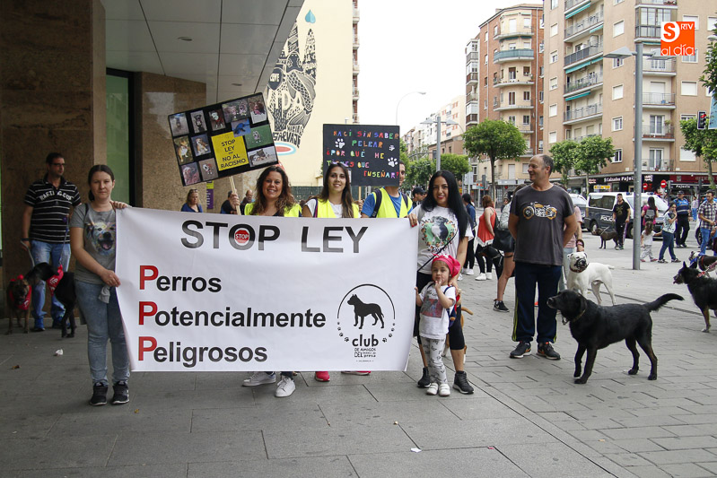 Foto 5 - Los defensores de perros potencialmente peligrosos denuncian su discriminación