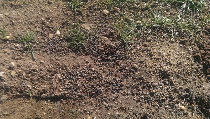 Estarcadero de conejos que demuestra la dimensión de sus poblaciones