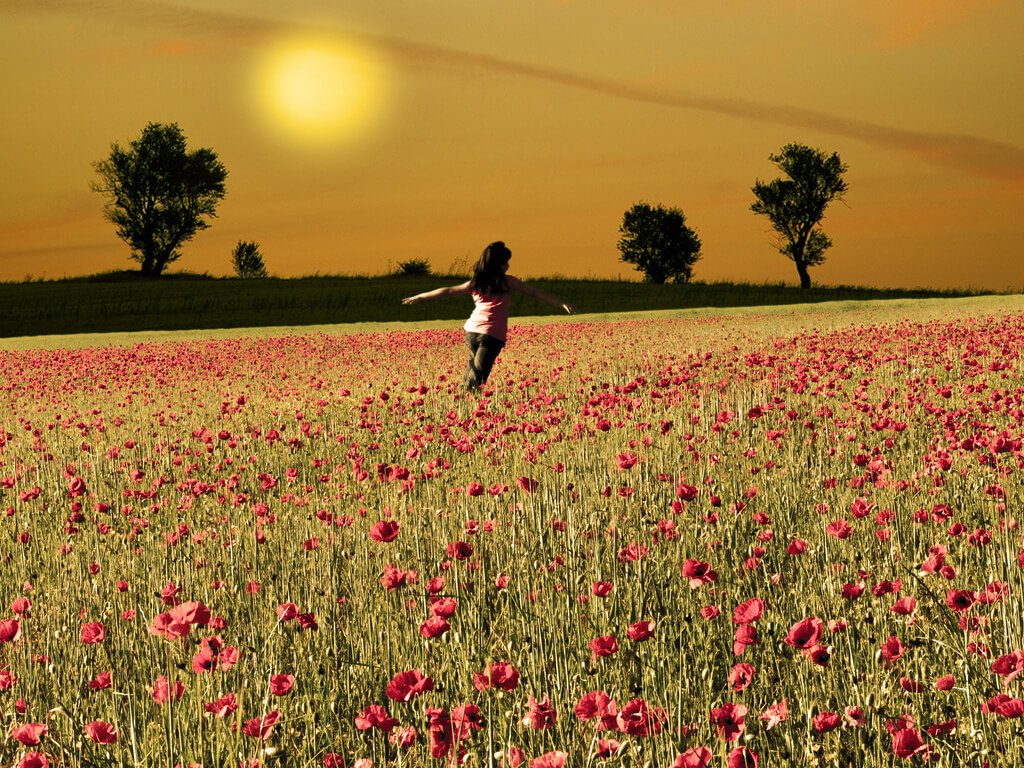 La fórmula de la felicidad