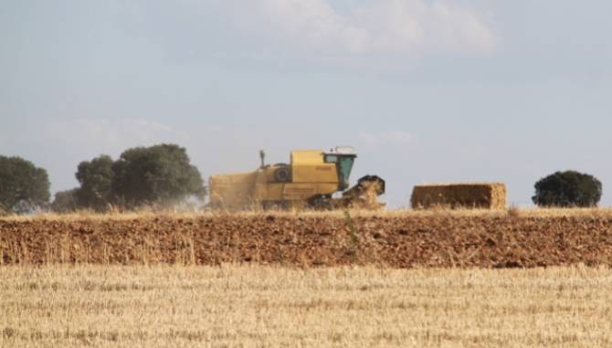 La falta de ayudas complica el necesario relevo en el campo