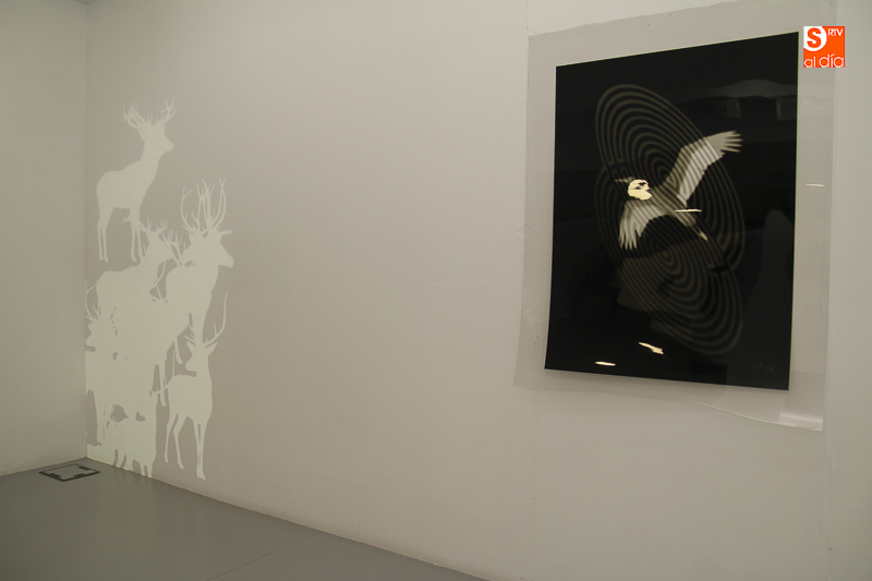 ‘Impermanencias’, de Javier Riera, en la Galería Adora Calvo