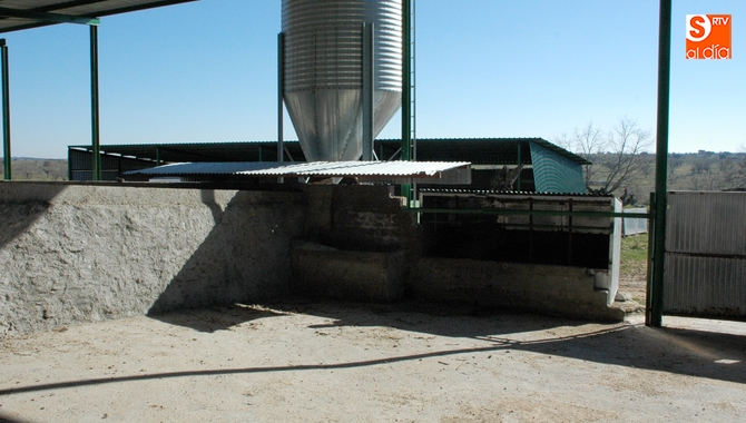 El vacío sanitario es una de las peores situaciones a las que pude enfrentarse un ganadero / CORRAL