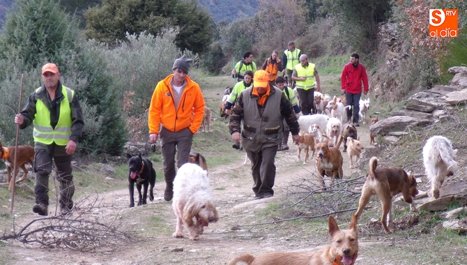 Se flexibiliza la caza del jabalí y otras especies para intentar reducir sus daños / CORRAL