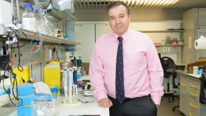 El catedrático José Ramón Alonso coordina este trabajo investigador