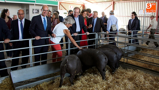 La última edición de Salamaq evidenció la importancia que ha cobrado el sector primario en la provincias, especialmente la ganadería, en el ámbito internacional | FOTOS: CORRAL