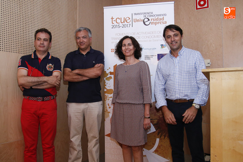 El objeto de la patente debe ser una solución técnica a un problema técnico