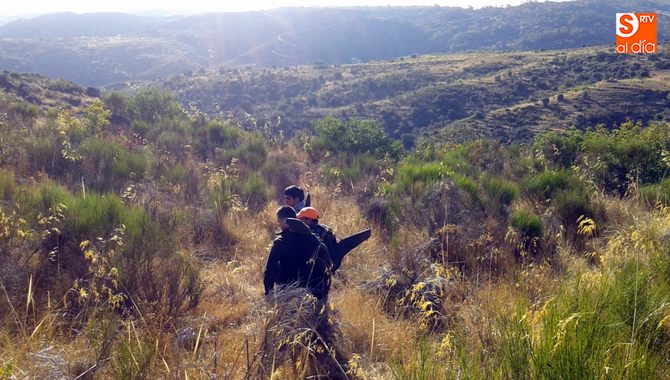 La Junta espera que el incumplimiento de aspectos de la Directiva Aves no afecte a la caza de mamíferos  / CORRAL