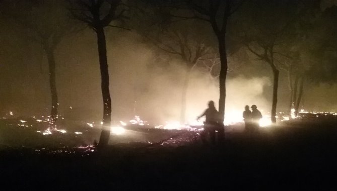 El incendio ya ha entrado en el espacio natural de Doñana