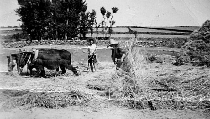 El tornado de la parva en Lumbrales