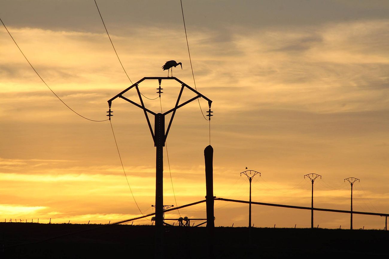 Caligrafías celestes  