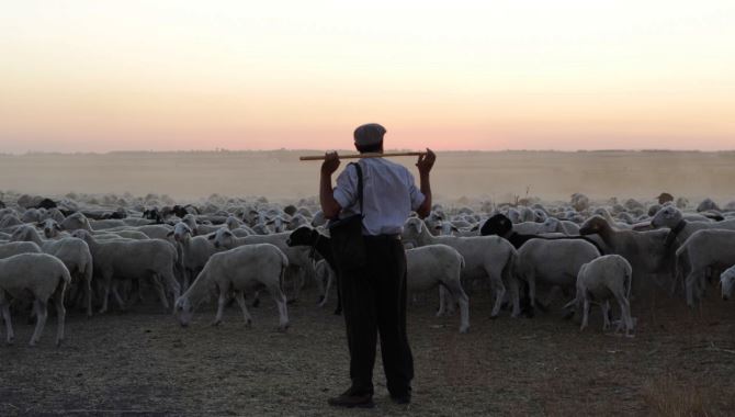 Un momento de la película El Pastor, de Jonathan Cenzual