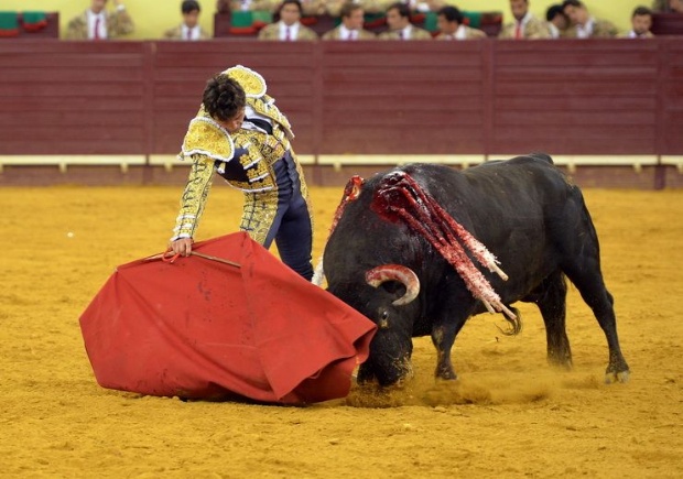Juan del Álamo gana la partida en Campo Pequeno  