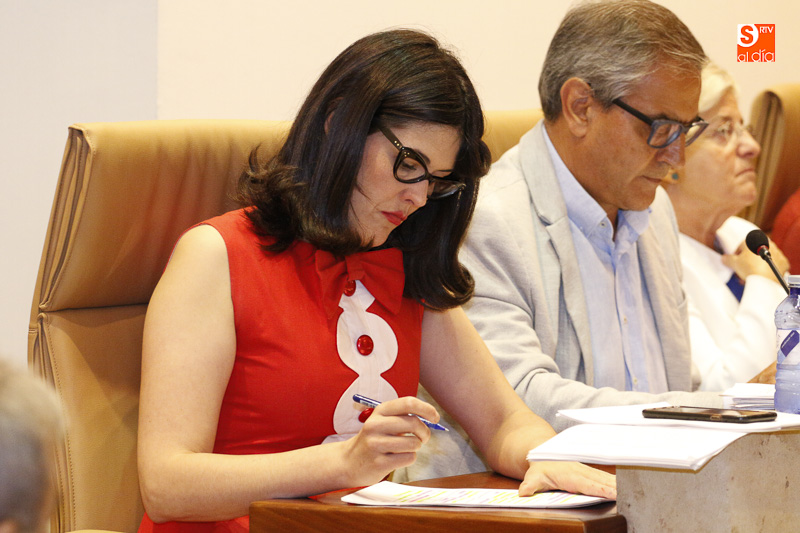 Intervención de Virginia Carrera en el pleno