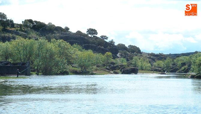 Donde dije digo, digo Diego  