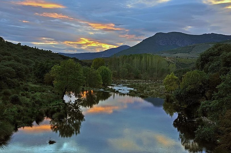 Para entender la vida
