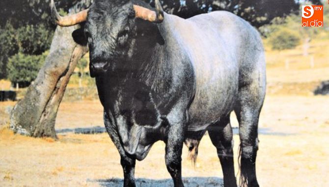 Nueva convocatoria de ayudas para las razas autóctonas