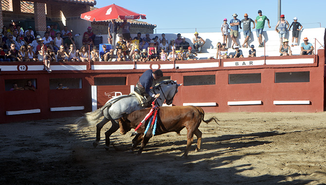 Cientos de personas se congregaban en la plaza de toros de Alaraz para vivir su gran Festival Taurino. Fotos: Aurelio Jinete