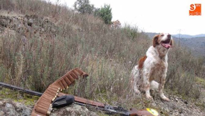 La media veda, a partir del 15 de agosto