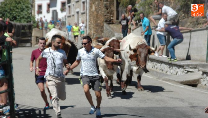 La manada permaneció agrupada de principio a fin del recorrido, por lo que no hubo incidentes