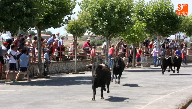 El segundo y último encierro de San Lorenzo discurrió rápido y sin incidentes.