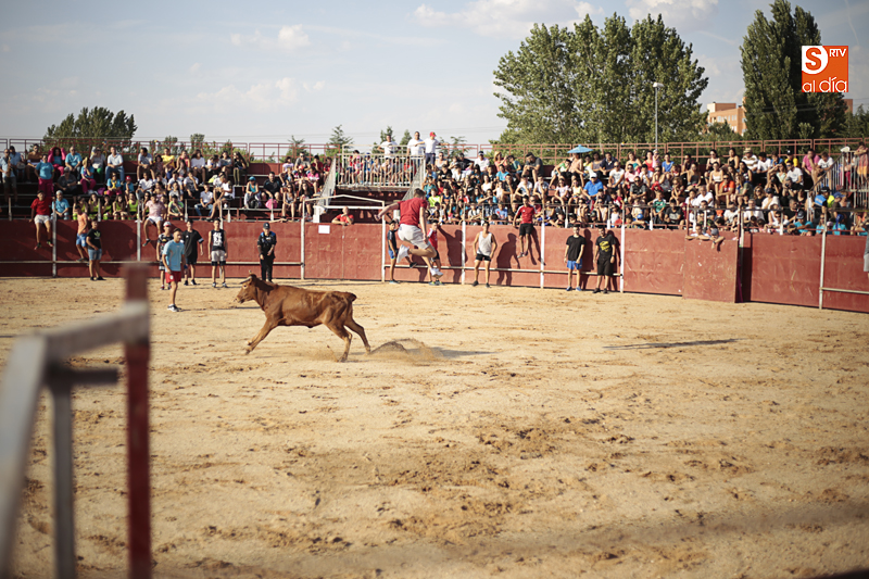 Las vaquillas se han celebrado con un gran ambiente. Foto: Alejandro López