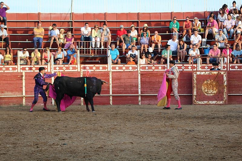 Óscar Mota salva la tarde de rejones en Cantalpino