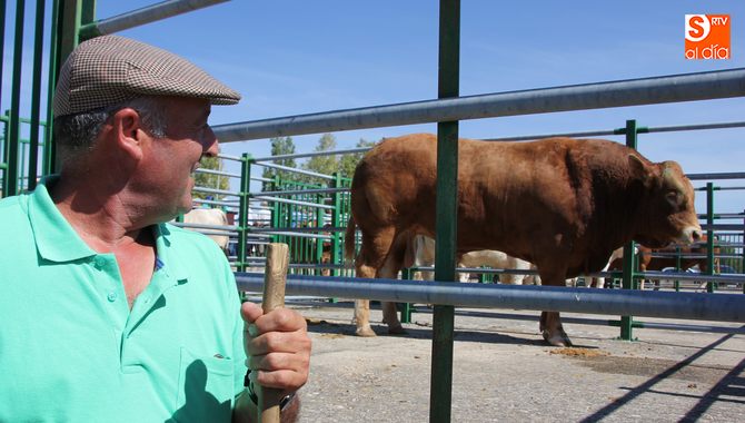 Un toro limusín de Hermanos Herrero fue de lo más espectacular de la feria / CORRAL