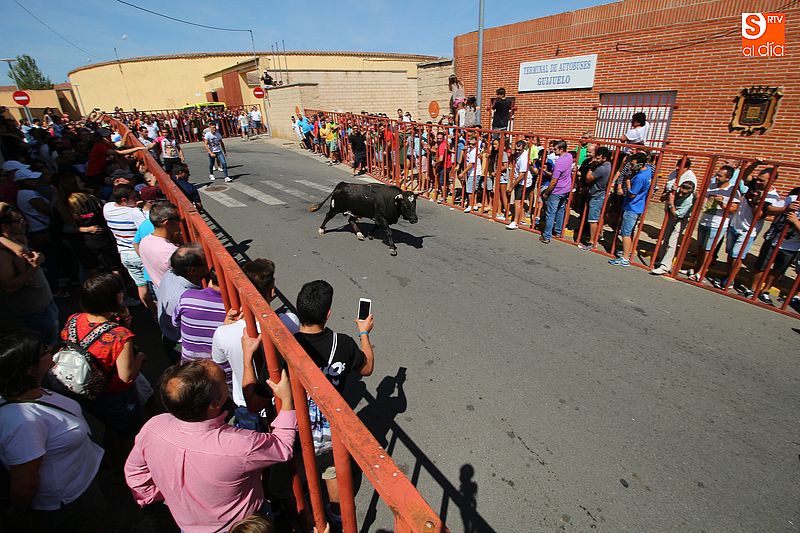 Decenas de jóvenes participaron fintando al toro camino de la plaza.