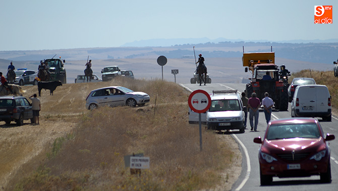 El Encierro a Caballo de Macotera acaparaba la atención de la comarca durante la mañana de este sábado