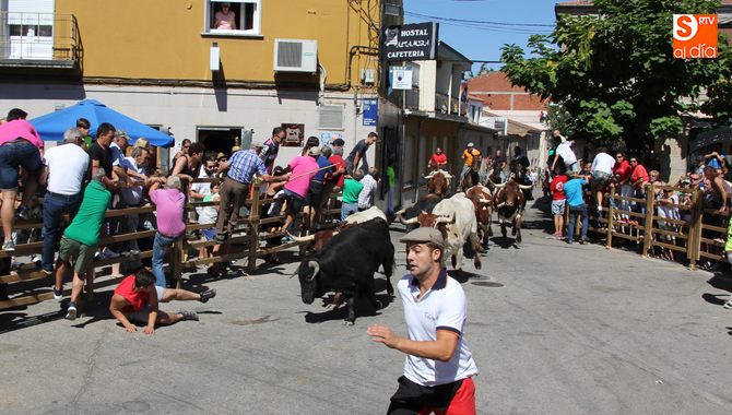 Afortunadamente la veloz carrera de la manada  impidió lo que podía haber sido un susto mayor / CORRAL