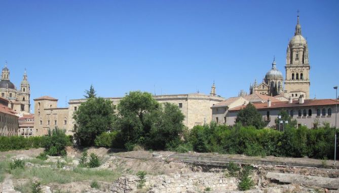 Ciudadanos por la Defensa del Patrimonio denuncia el pésimo estado de El Botánico