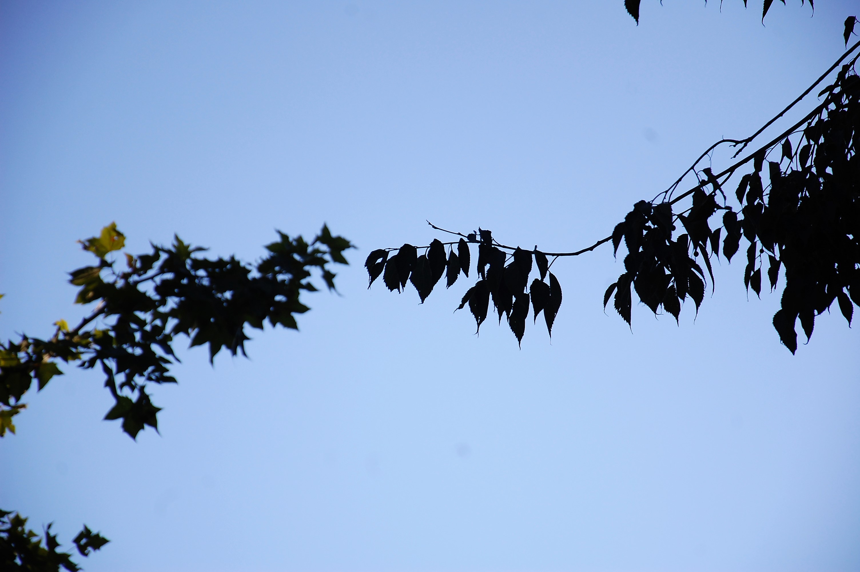 Jóvenes, desarraigados, desorientados…