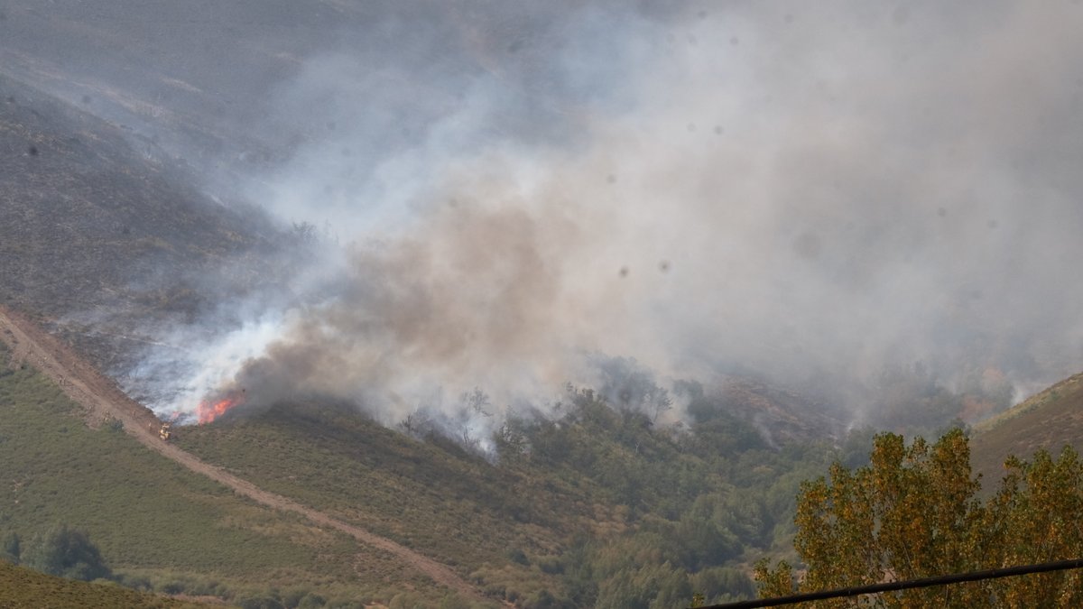 León y Zamora son las provincias de la Comunidad más afectadas por incendios