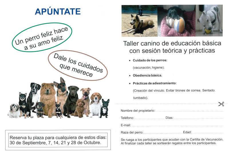 Foto 3 - Villares de la Reina organiza un taller de adiestramiento canino   