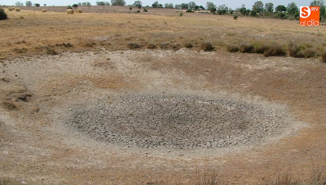 Muchos ganaderos llevan julio y agosto echándole agua al ganado / CORRAL