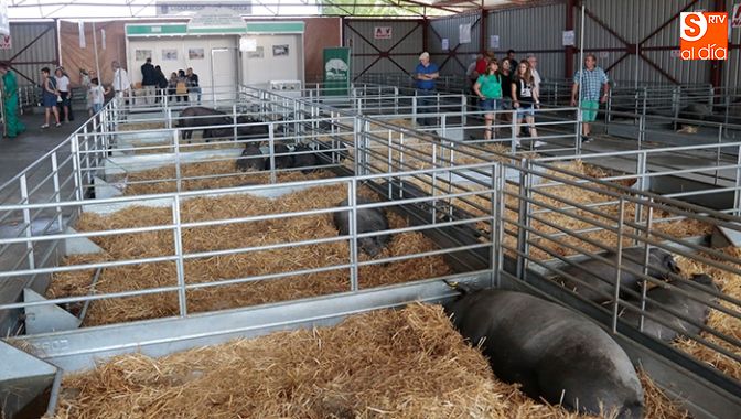 Nave de porcino ibérico en Salamaq