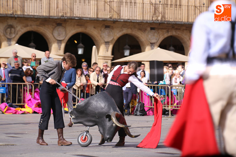 Esta subvención se enmarca dentro de los objetivos de la Consejería en sus políticas de promoción y difusión de la Tauromaquia y sus valores
