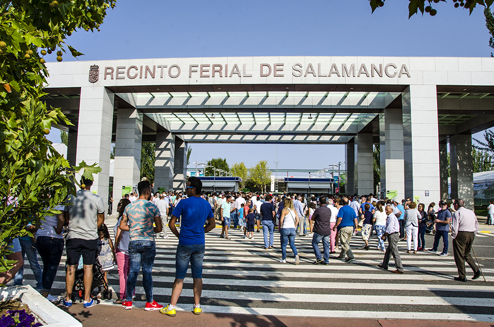SALAMANCArtv AL DÍA ha dispuesto un gran despliegue profesional para ofrecer todos los detalles de Salamaq