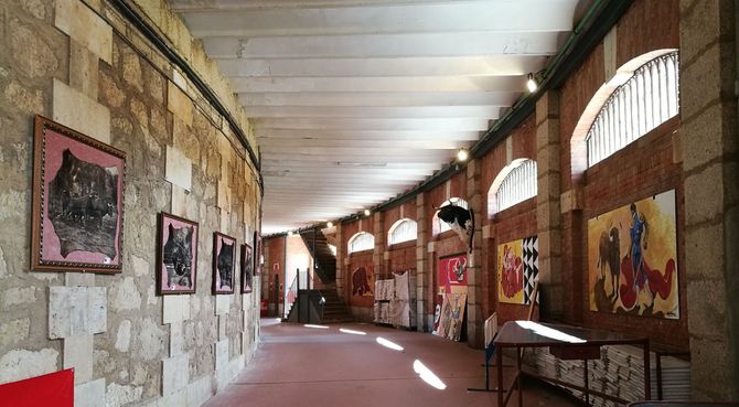 Exposiciones taurinas en la plaza de toros de La Glorieta  
