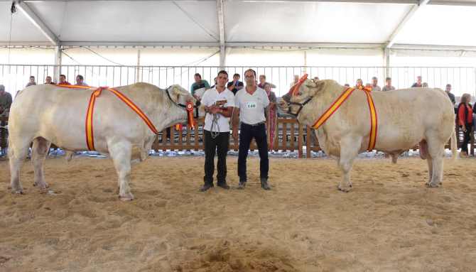 Electron¡ de Jorge Chapinal y Boyantedel salmantino Alberto Martín
