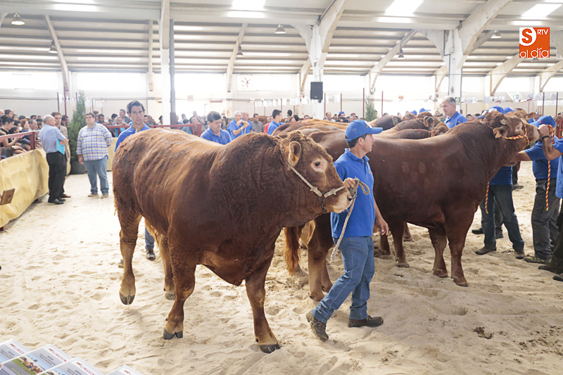 El limusín sube de nivel