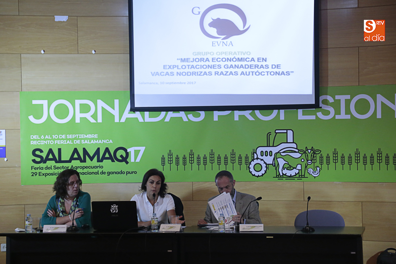 Jornada profesional organizada por Federapes