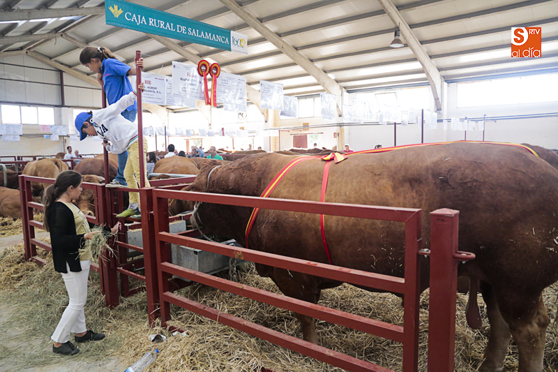 Salamaq17 baja el telón tras una intensa edición