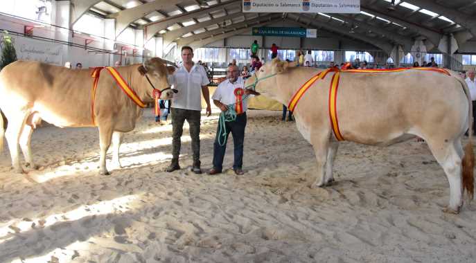 Las campeonas de la raza Blonda