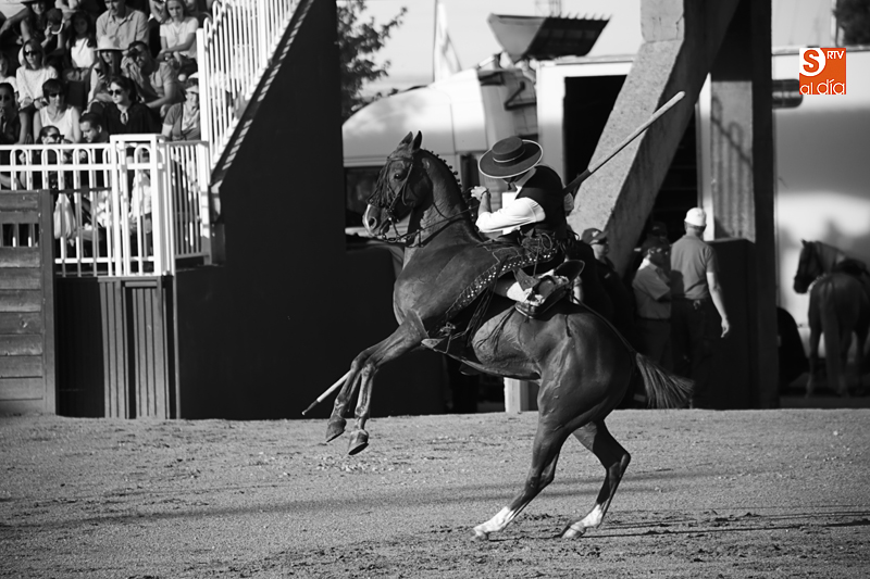 Espectáculo ecuestre para despedir Salamaq