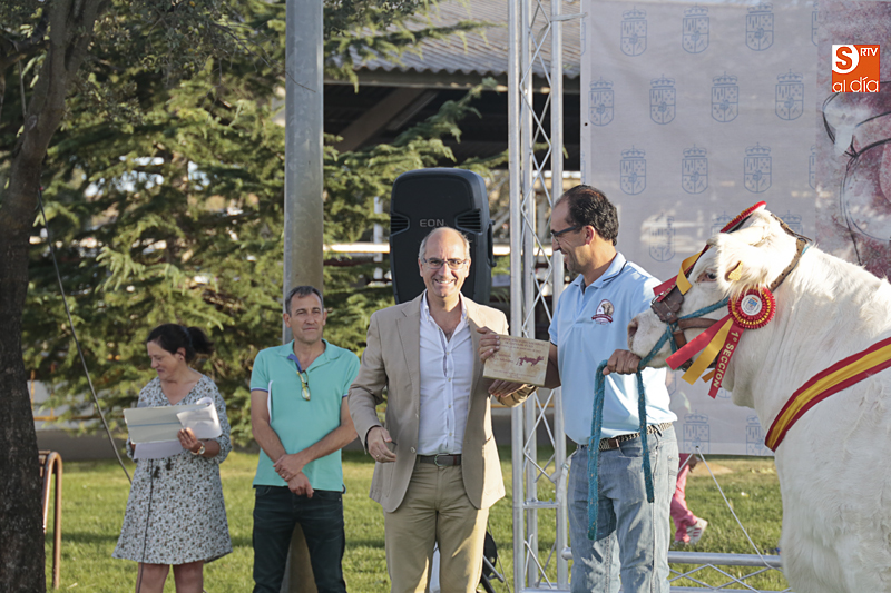 La subasta de ovino y los preparativos de la de vacuno, centran el último día