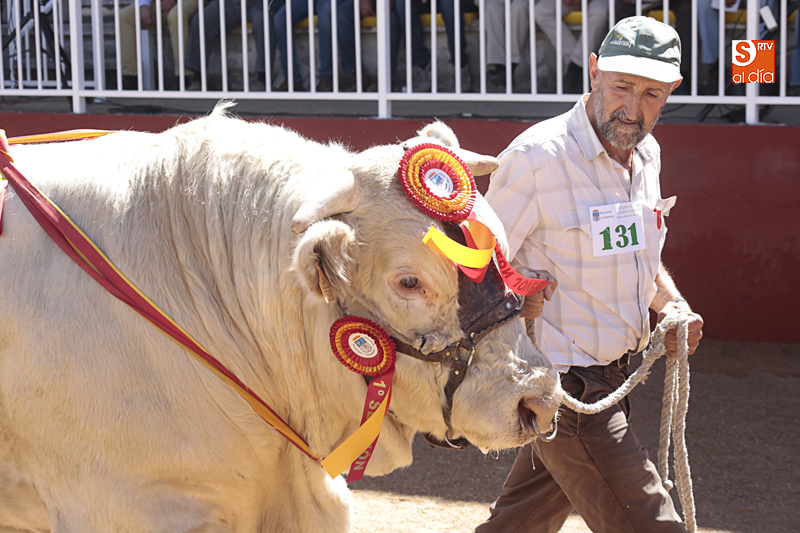 La subasta de ganado vacuno se salda con ventas discretas